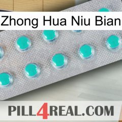 Zhong Hua Niu Bian 28